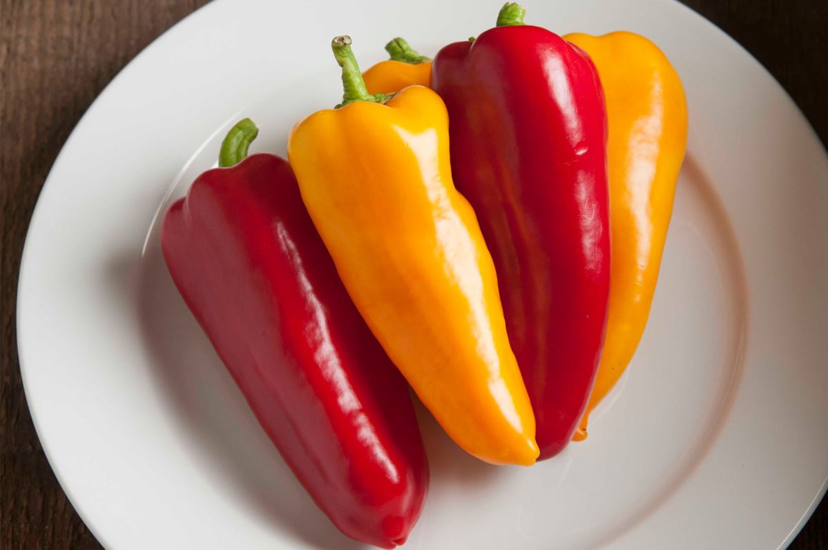 Cornito Pepper Seeds